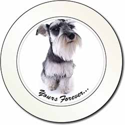 Schnauzer Dog 