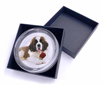 St. Bernard Dod with Red Rose Glass Paperweight in Gift Box