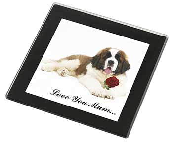 St Bernard+Rose 