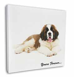 St Bernard Dog 