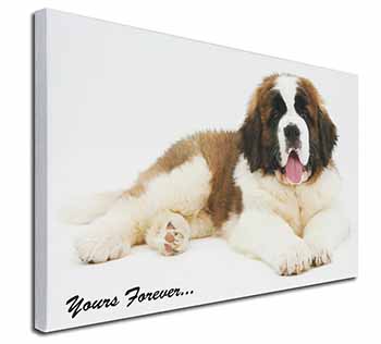 St Bernard Dog 