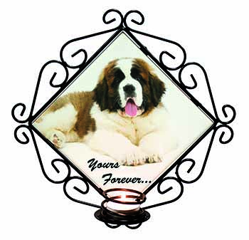 St Bernard Dog 