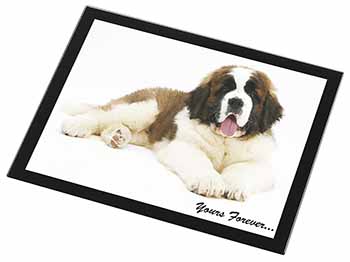 St Bernard Dog 