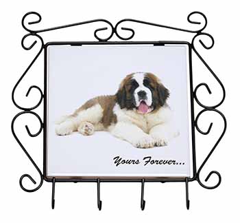 St Bernard Dog 