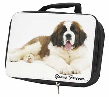 St Bernard Dog 