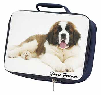 St Bernard Dog 