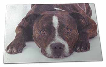 Large Glass Cutting Chopping Board Staffordshire Bull Terrier Dog