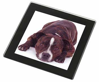 Staffordshire Bull Terrier Dog Black Rim High Quality Glass Coaster