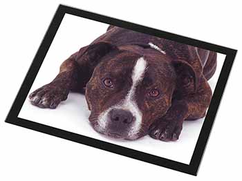 Staffordshire Bull Terrier Dog Black Rim High Quality Glass Placemat