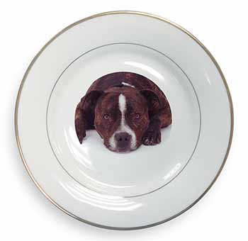 Staffordshire Bull Terrier Dog Gold Rim Plate Printed Full Colour in Gift Box