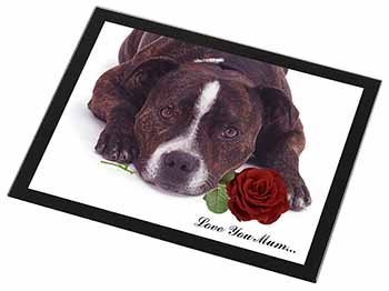 Staffie with Rose 