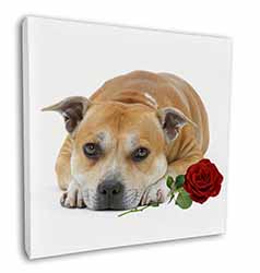 Red Staffie with Rose Square Canvas 12"x12" Wall Art Picture Print