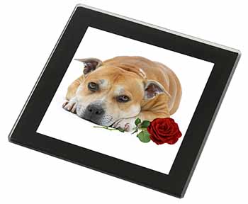 Red Staffie with Rose Black Rim High Quality Glass Coaster