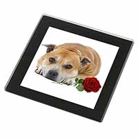 Red Staffie with Rose Black Rim High Quality Glass Coaster