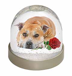 Red Staffie with Rose Snow Globe Photo Waterball