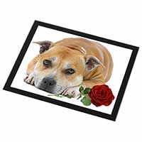 Red Staffie with Rose Black Rim High Quality Glass Placemat