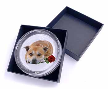 Red Staffie with Rose Glass Paperweight in Gift Box