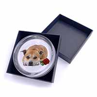 Red Staffie with Rose Glass Paperweight in Gift Box