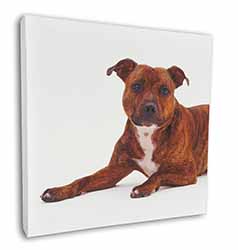 Staffordshire Bull Terrier Dog Square Canvas 12"x12" Wall Art Picture Print