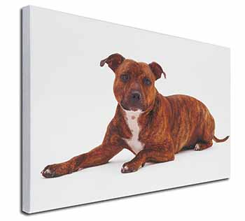 Staffordshire Bull Terrier Dog Canvas X-Large 30"x20" Wall Art Print