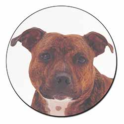 Staffordshire Bull Terrier Dog Fridge Magnet Printed Full Colour