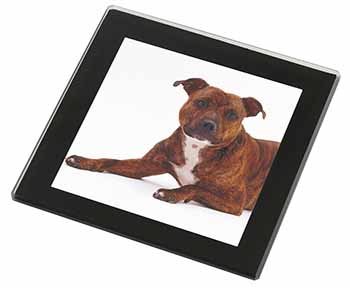 Staffordshire Bull Terrier Dog Black Rim High Quality Glass Coaster