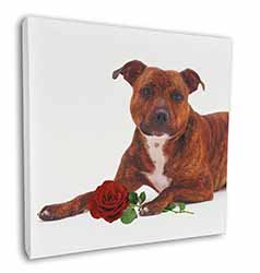 Staffie with Red Rose Square Canvas 12"x12" Wall Art Picture Print