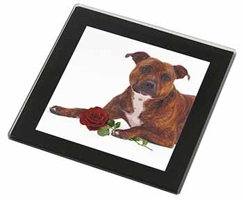 Staffie with Red Rose Black Rim High Quality Glass Coaster