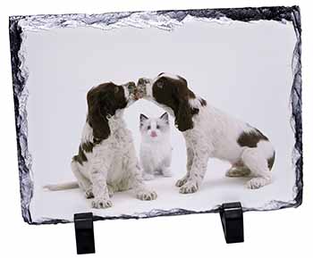 Cocker Spaniel and Kitten -Love, Stunning Photo Slate