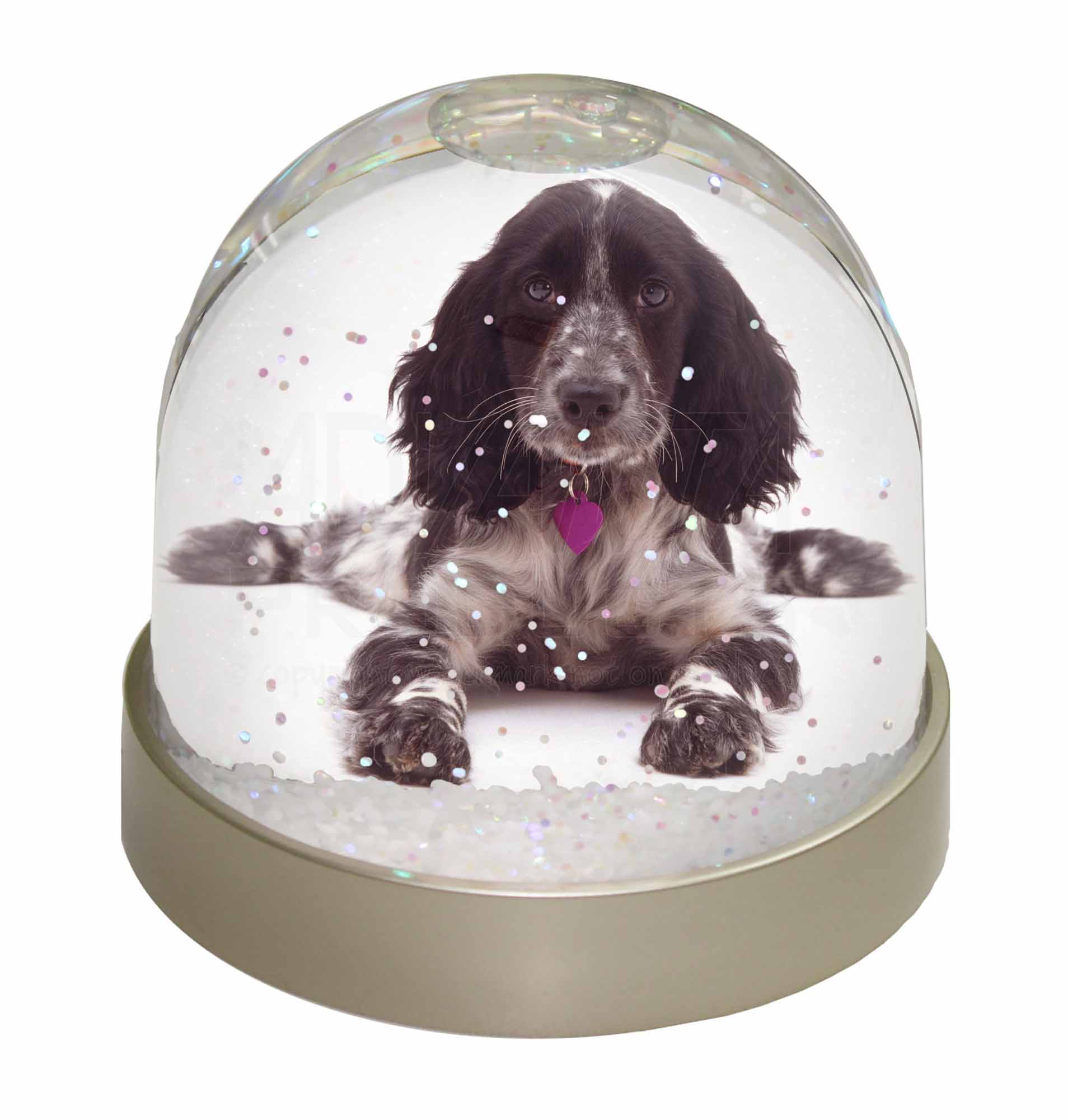 Cocker Spaniel Dog Christmas Gift Photo Snow Globe Waterball Stocking