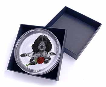 Cocker Spaniel (B+W) with Red Rose Glass Paperweight in Gift Box