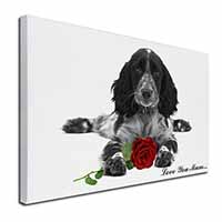 Cocker Spaniel+Rose 