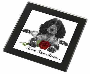 Cocker Spaniel+Rose 