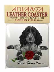 Cocker Spaniel+Rose 