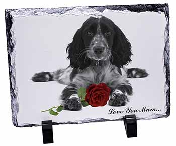 Cocker Spaniel+Rose 