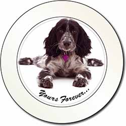 Blue Roan Cocker Spaniel 