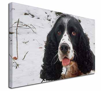 Blue Roan (Black+White) Cocker Spaniel Canvas X-Large 30"x20" Wall Art Print