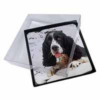 4x Blue Roan (Black+White) Cocker Spaniel Picture Table Coasters Set in Gift Box
