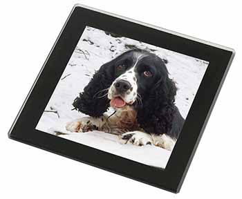 Blue Roan (Black+White) Cocker Spaniel Black Rim High Quality Glass Coaster