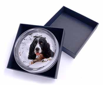 Blue Roan (Black+White) Cocker Spaniel Glass Paperweight in Gift Box