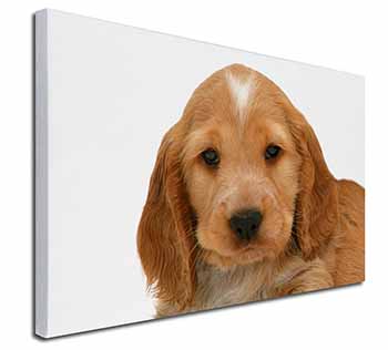 Cocker Spaniel Canvas X-Large 30"x20" Wall Art Print