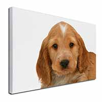 Cocker Spaniel Canvas X-Large 30"x20" Wall Art Print