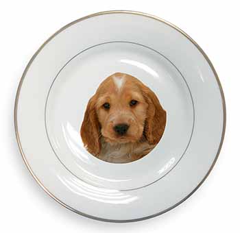 Cocker Spaniel Gold Rim Plate Printed Full Colour in Gift Box