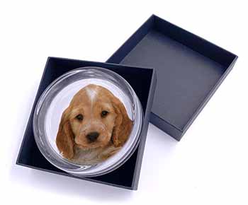 Cocker Spaniel Glass Paperweight in Gift Box