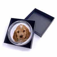 Cocker Spaniel Glass Paperweight in Gift Box