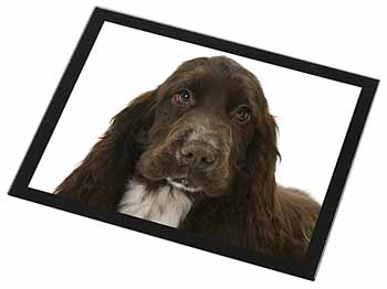 Chocolate Cocker Spaniel Dog Black Rim High Quality Glass Placemat