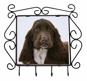 Chocolate Cocker Spaniel Dog Wrought Iron Key Holder Hooks