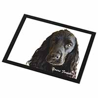 Cocker Spaniel 