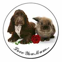 Spaniel+Rabbit+Rose 