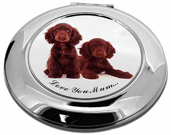 Chocolate Cocker Spaniels 